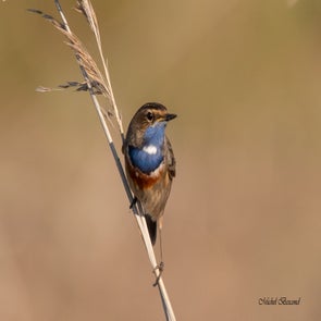 prise-de-vue-sans-titre-3537-standard.jpg