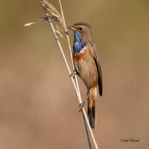 prise-de-vue-sans-titre-3542-standard.jpg