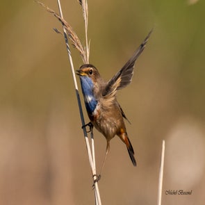 prise-de-vue-sans-titre-3545-standard.jpg