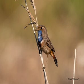 prise-de-vue-sans-titre-3548-standard.jpg