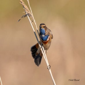prise-de-vue-sans-titre-3553-standard.jpg