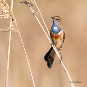 prise-de-vue-sans-titre-3574-standard.jpg