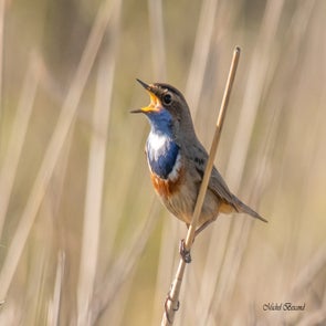 prise-de-vue-sans-titre-3583-standard.jpg