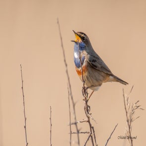 prise-de-vue-sans-titre-3622-standard.jpg