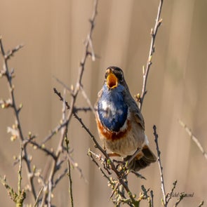 prise-de-vue-sans-titre-3662-standard.jpg