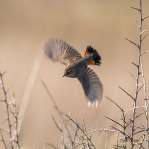 prise-de-vue-sans-titre-3763-standard.jpg