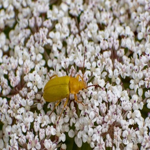 prise-de-vue-sans-titre-3822-standard.jpg