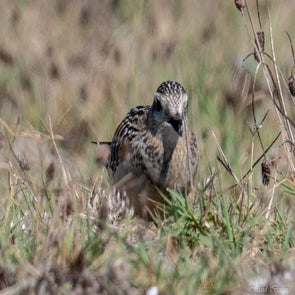 prise-de-vue-sans-titre-3878-standard.jpg