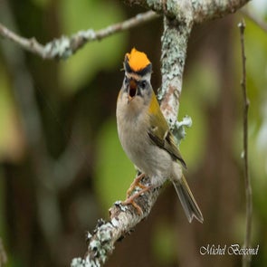 prise-de-vue-sans-titre-3881-standard.jpg