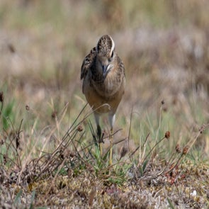 prise-de-vue-sans-titre-3920-standard.jpg