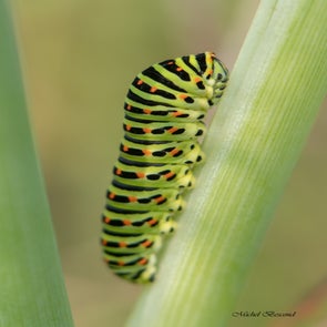 prise-de-vue-sans-titre-4347-standard.jpg