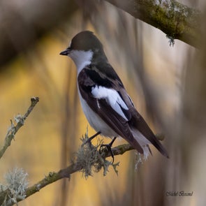 prise-de-vue-sans-titre-4581-standard-6bxlm3.jpg