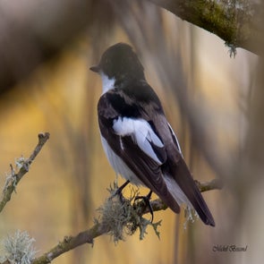 prise-de-vue-sans-titre-4587-standard-741n3o.jpg