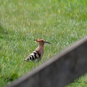 prise-de-vue-sans-titre-4607-standard.jpg