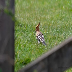 prise-de-vue-sans-titre-4610-standard.jpg