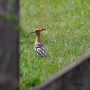 prise-de-vue-sans-titre-4611-standard.jpg