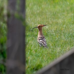 prise-de-vue-sans-titre-4613-standard.jpg