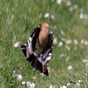 prise-de-vue-sans-titre-4698-standard-a5xw26.jpg