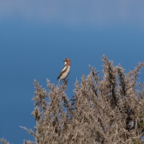 prise-de-vue-sans-titre-4714-standard.jpg