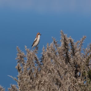 prise-de-vue-sans-titre-4715-standard.jpg