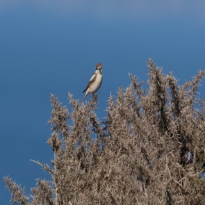 prise-de-vue-sans-titre-4716-standard.jpg