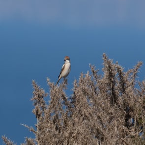 prise-de-vue-sans-titre-4718-standard.jpg