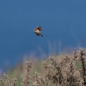 prise-de-vue-sans-titre-4724-standard-xbu5u6.jpg