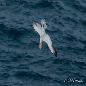 prise-de-vue-sans-titre-5774-standard.jpg