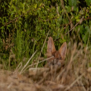 prise-de-vue-sans-titre-5955-standard.jpg