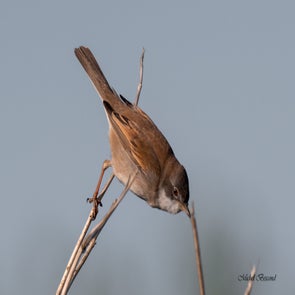 prise-de-vue-sans-titre-5994-standard-d7bl32.jpg