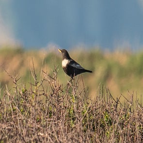 prise-de-vue-sans-titre-6062-standard.jpg