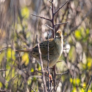 prise-de-vue-sans-titre-6089-standard.jpg