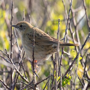 prise-de-vue-sans-titre-6096-standard.jpg