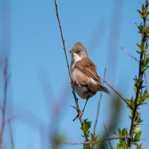 prise-de-vue-sans-titre-6150-standard.jpg