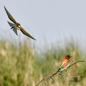 prise-de-vue-sans-titre-7016-standard.jpg