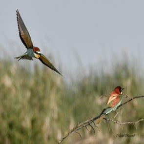 prise-de-vue-sans-titre-7017-standard.jpg