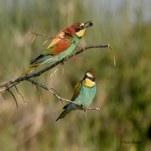 prise-de-vue-sans-titre-7047-standard.jpg