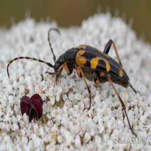 prise-de-vue-sans-titre-7057-standard.jpg