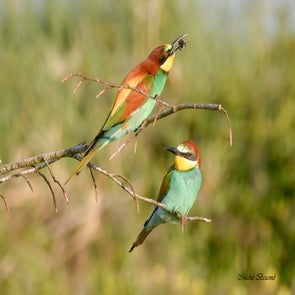 prise-de-vue-sans-titre-7062-standard.jpg