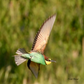prise-de-vue-sans-titre-7106-standard.jpg