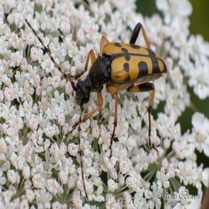 prise-de-vue-sans-titre-7130-standard.jpg