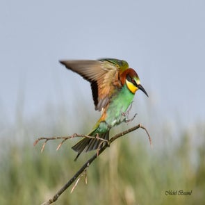 prise-de-vue-sans-titre-7236-standard.jpg