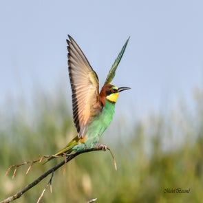 prise-de-vue-sans-titre-7237-standard.jpg