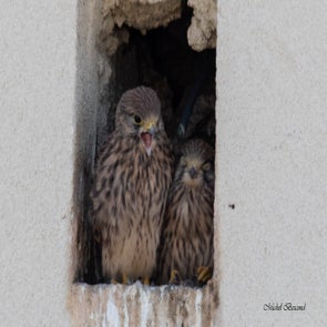 prise-de-vue-sans-titre-8084-standard.jpg