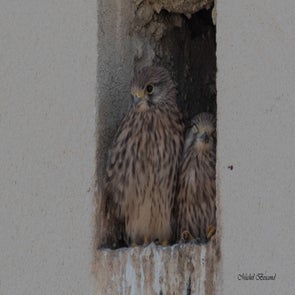 prise-de-vue-sans-titre-8142-standard.jpg