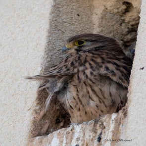 prise-de-vue-sans-titre-8199-standard.jpg