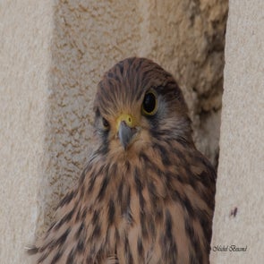 prise-de-vue-sans-titre-8205-standard.jpg