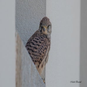 prise-de-vue-sans-titre-8211-standard.jpg