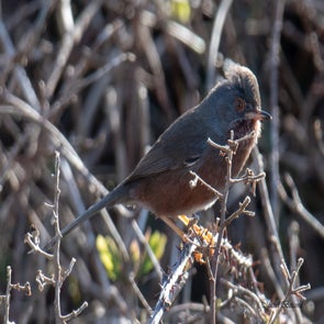 prise-de-vue-sans-titre-8251-standard.jpg