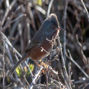 prise-de-vue-sans-titre-8254-standard.jpg